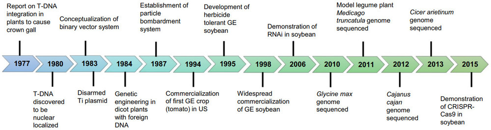 Graphic timeline of some of the major discoveries, applications and breakthroughs in the history of plant genetic transformation.